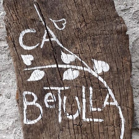 Ca Betulla Villa Novate Mezzola Esterno foto