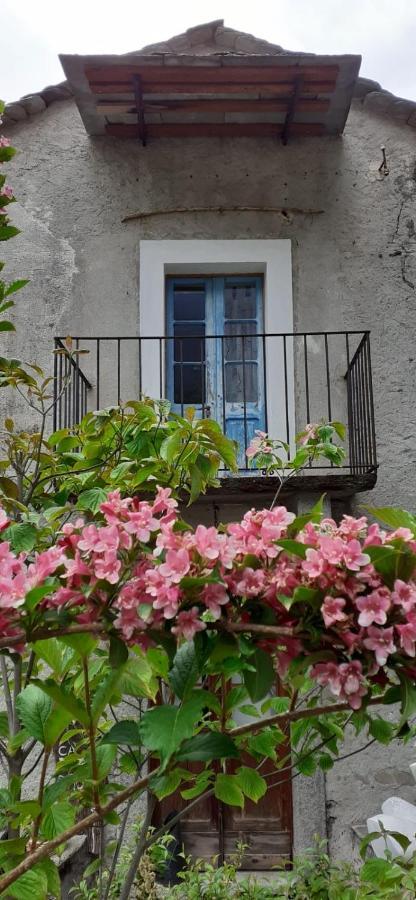 Ca Betulla Villa Novate Mezzola Esterno foto