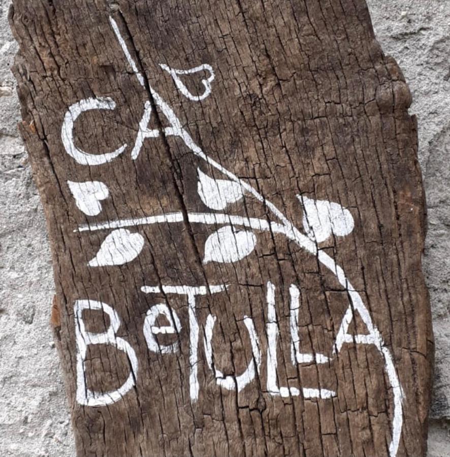 Ca Betulla Villa Novate Mezzola Esterno foto