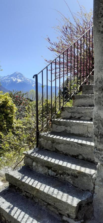 Ca Betulla Villa Novate Mezzola Esterno foto