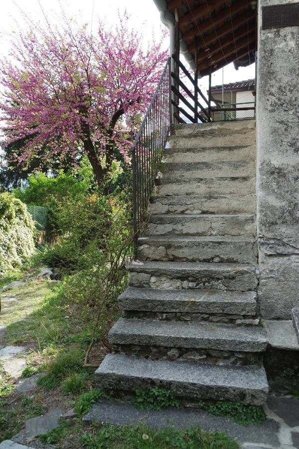 Ca Betulla Villa Novate Mezzola Esterno foto