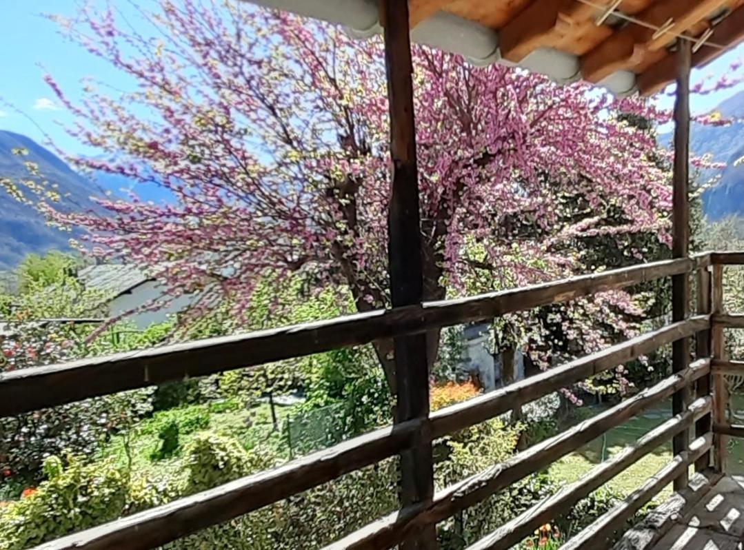 Ca Betulla Villa Novate Mezzola Esterno foto
