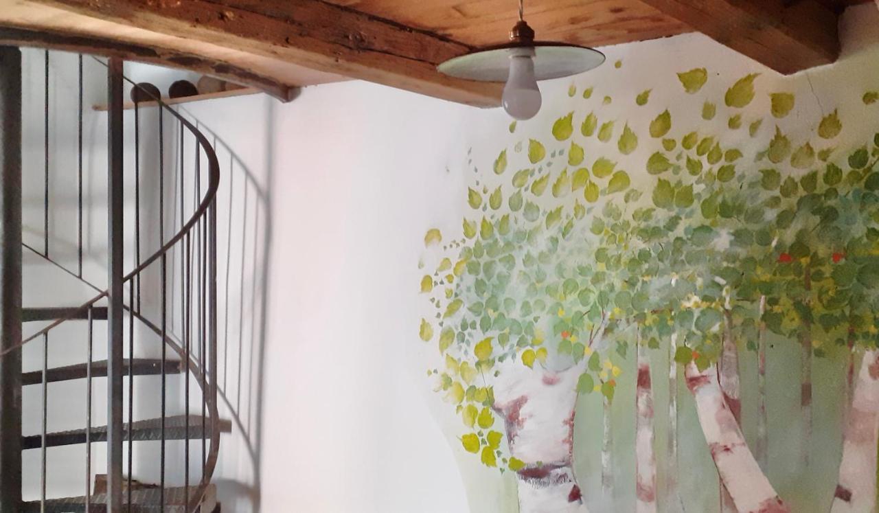 Ca Betulla Villa Novate Mezzola Esterno foto