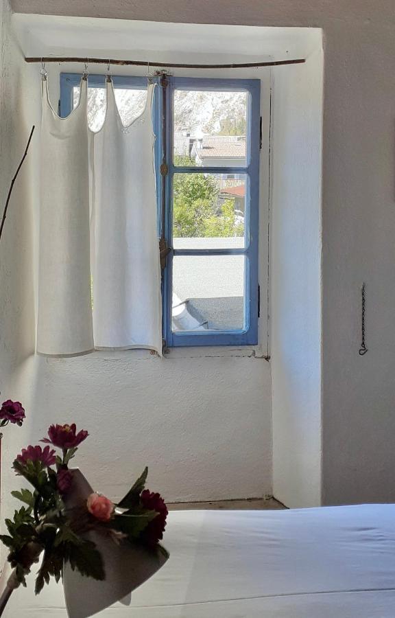 Ca Betulla Villa Novate Mezzola Esterno foto